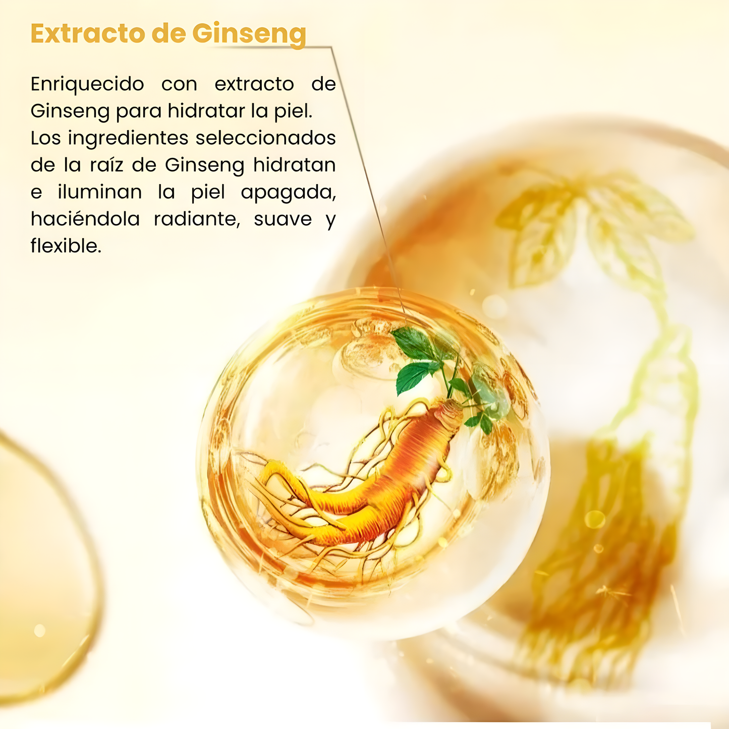 Ginseng™ 🫚 Sérum Rejuvenecedor Hidratante Con Raíz